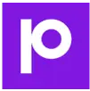 Precisely Logo